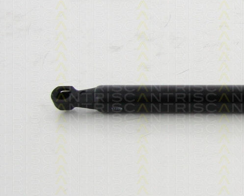 Triscan 8710 25254 Амортисьор За Багажник