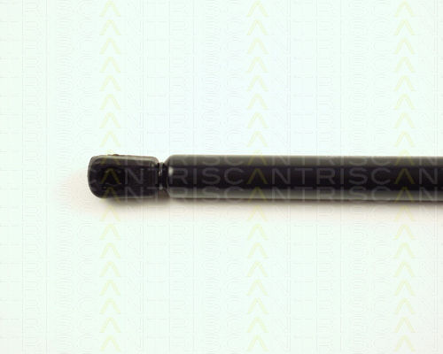 Triscan Trunk Shock Absorber 8710 16233