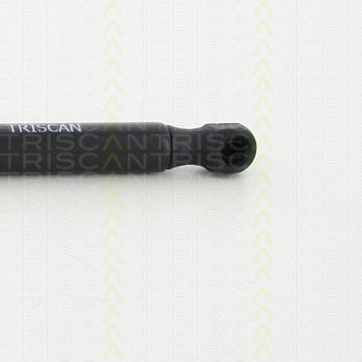 Triscan 8710 38237 Trunk Shock Absorber