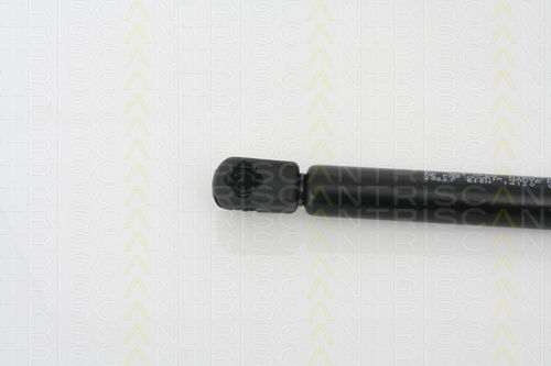 Triscan Trunk Shock Absorber 8710 28227