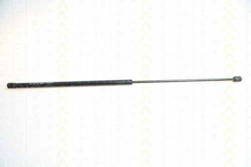 Triscan Kofferraum-Schock 8710 65103