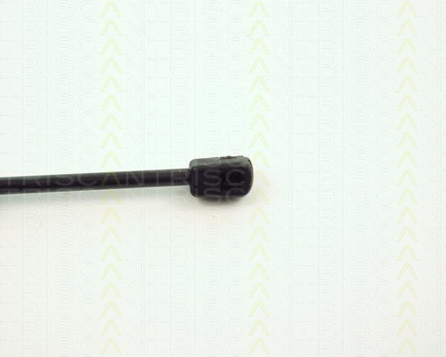 Triscan Trunk Shock Absorber 8710 11201