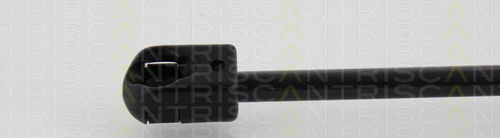 Triscan Амортисьор За Капак 8710 29135