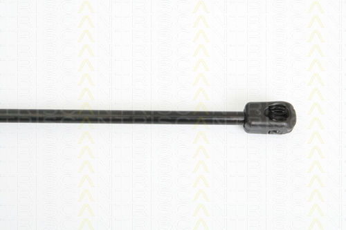 Triscan Kofferraum-Schock 8710 29127