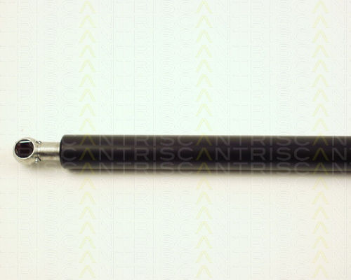 Triscan Hood Shock Absorber 8710 29104