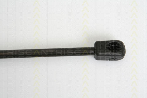 Triscan Amortizor Portbagaj 8710 10207