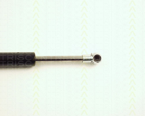 Triscan 8710 25212 Kofferraum-Schock