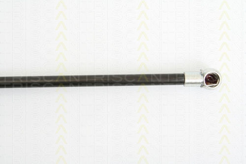 Triscan 8710 25236 Trunk Shock Absorber