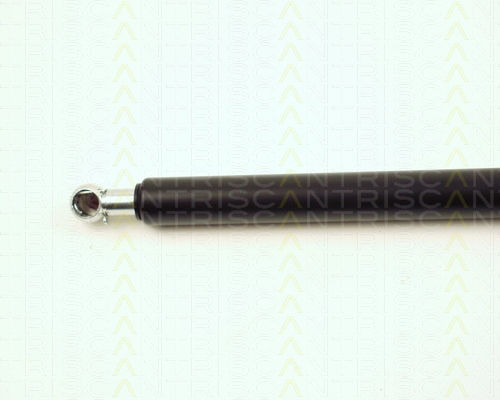 Triscan 8710 16217 Trunk Shock Absorber
