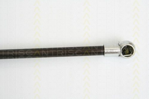 Triscan 8710 16248 Амортисьор За Багажник
