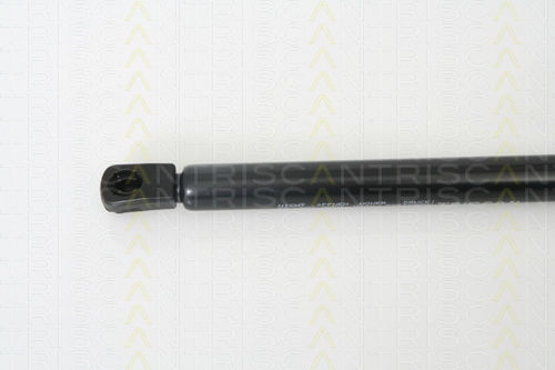 Triscan 8710 29272 Trunk Shock Absorber