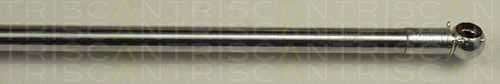 Triscan 8710 50226 Kofferraum-Schockabsorber