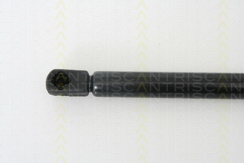 Triscan Trunk Shock Absorber 8710 24228