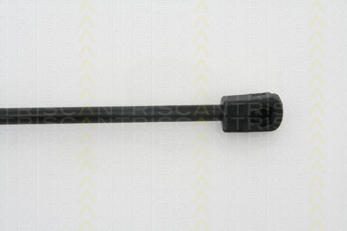 Triscan Trunk Shock Absorber 8710 24228