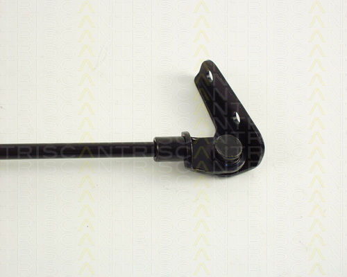 Triscan 8710 69203 Trunk Shock Absorber