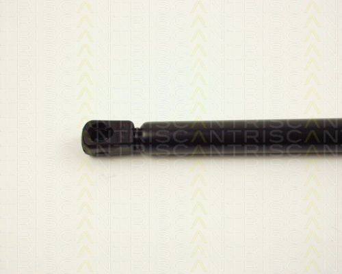 Triscan Trunk Shock Absorber 8710 24223