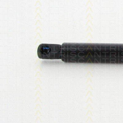 Triscan 8710 40242 Амортисьор За Багажник