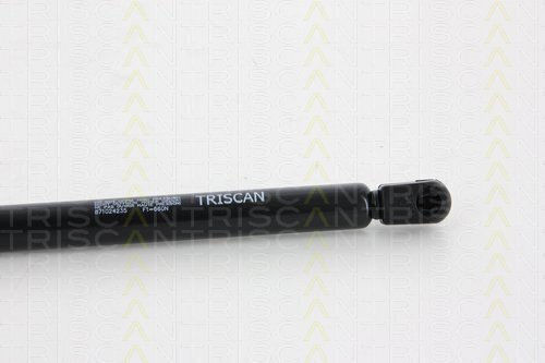 Triscan 8710 24235 Trunk Shock Absorber