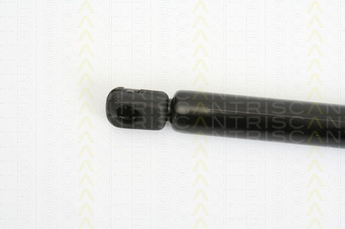 Triscan 8710 18213 Trunk Shock Absorber