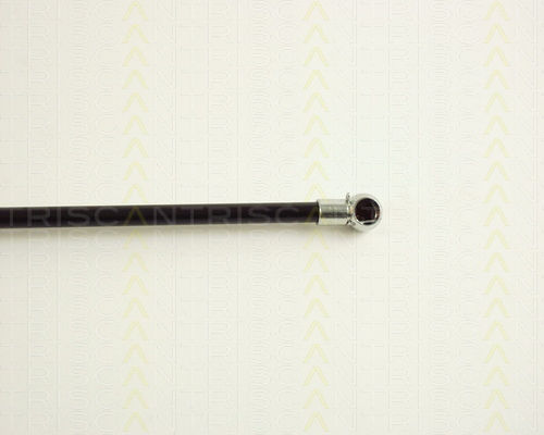Triscan 8710 29234 Trunk Shock Absorber
