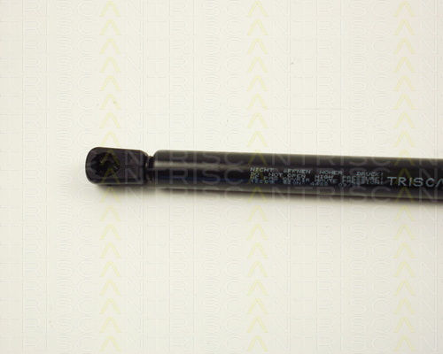 Triscan 8710 12209 Trunk Shock Absorber