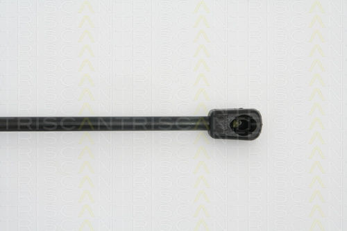 Triscan 8710 67209 Trunk Shock Absorber