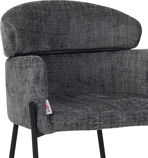 Tolerse Metallic Dining Armchairs Light Gray 2pcs 58x57x80cm