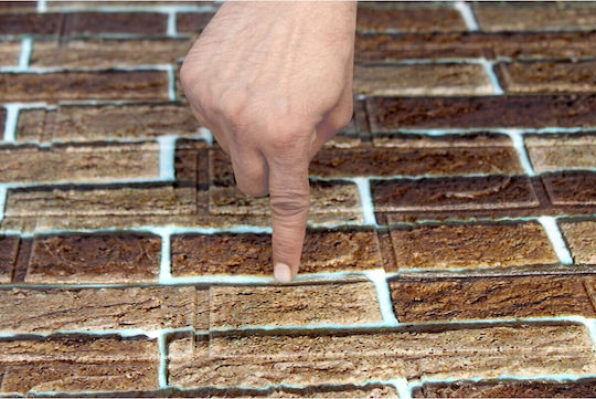 Panouri Decorative 3d Din PVC Autoadezive Maro 70x77cm 10 Bucăți