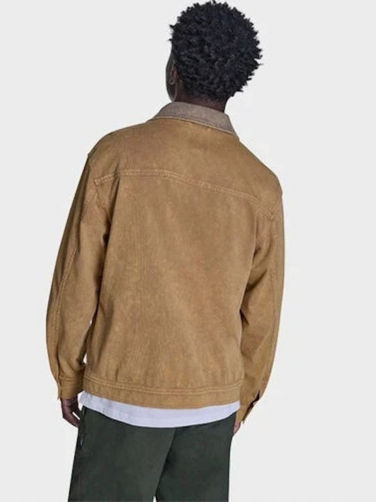 Converse Μπουφάν Καφέ