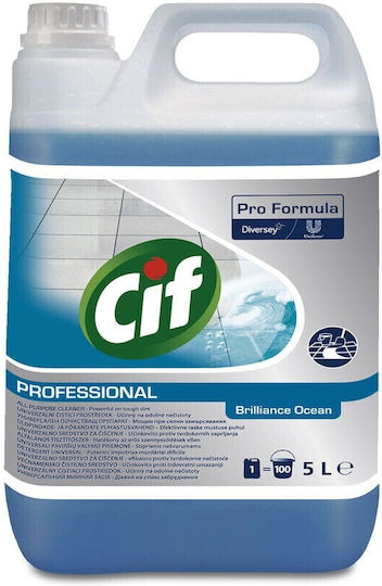 Alista Home Lichid Profesional De Curățare Pentru Utilizare Generală Cu Acțiune Dezinfectantă 2x5lt