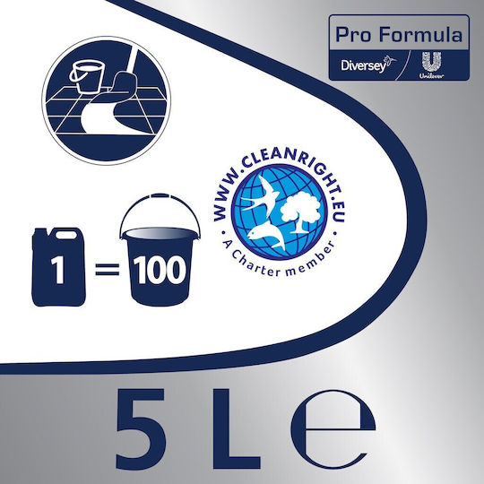 Alista Home Lichid Profesional De Curățare Universală Pentru Utilizare Generală Cu Acțiune Dezinfectantă 5lt