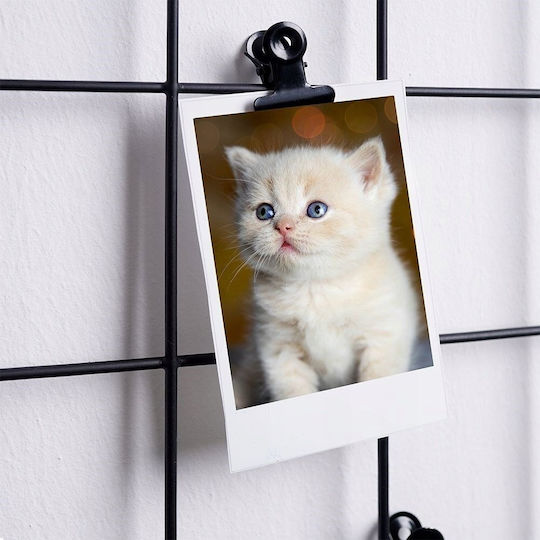 Vilde Metallic Wall-Mounted Photo Frame With Black Frame