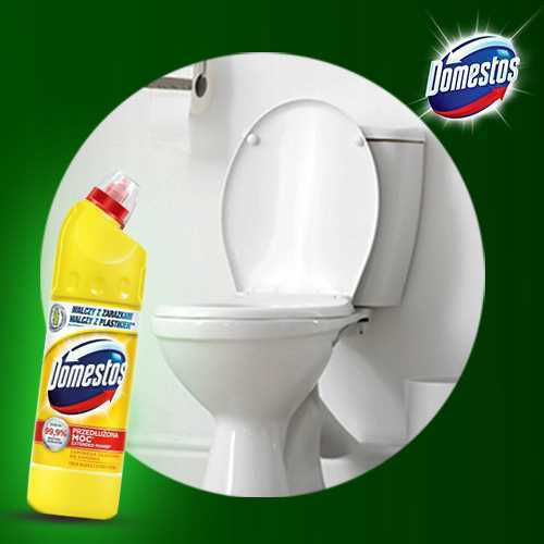Unilever Toilettenreiniger Gel mit Zitronenduft 750ml