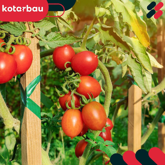 Kotarbau Holzpflanzenspieße Tomaten Gemüse Gartenstützen Bäume Sträucher 30 cm Set 10 Stück