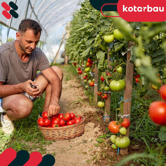 Kotarbau Holzpflanzenspieße Tomaten Gemüse Gartenstützen Bäume Sträucher 25 Cm Set 25 Stück