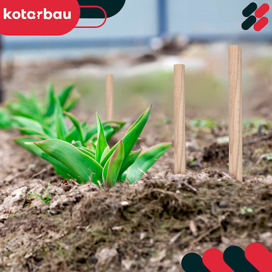 Kotarbau Beech Wooden Stakes Geodetic Support Tomatoes Vegetables Trees 30 Cm Set 20 Pcs