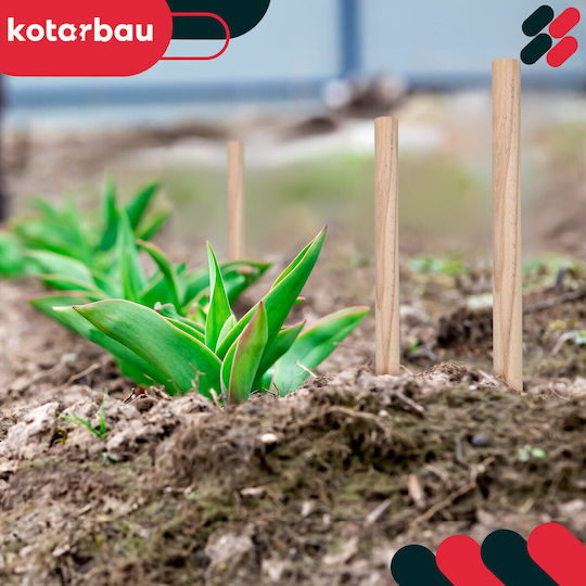 Kotarbau Beech Wooden Stakes Geodetic Support Tomatoes Vegetables Trees 40 Cm Set 15 Pcs
