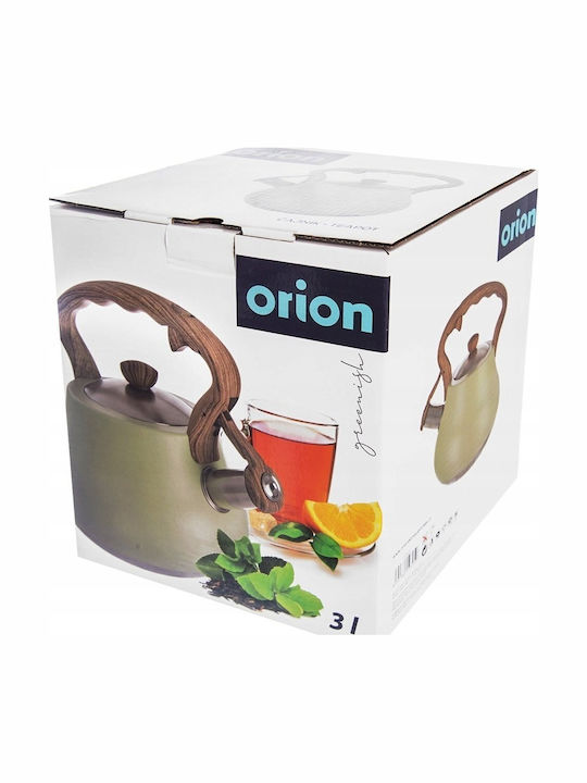 Orion Stainless Steel Gray Boiler 3000ml