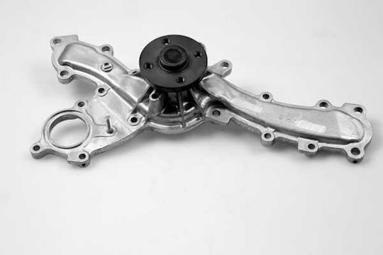 HEPU Antlie de Apă Auto pentru Toyota Lexus Lexus GS