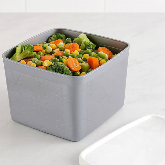 Orion Mittagsboxen Grau 1.1lt