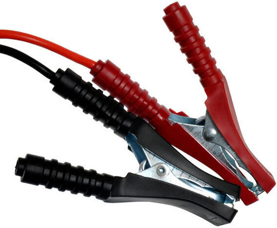 Bass Polska Starter-Charger Portabil Pentru Baterii Auto și Motocicletă 6/12V
