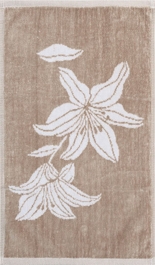 Kentia Stylish Kentia Stylish