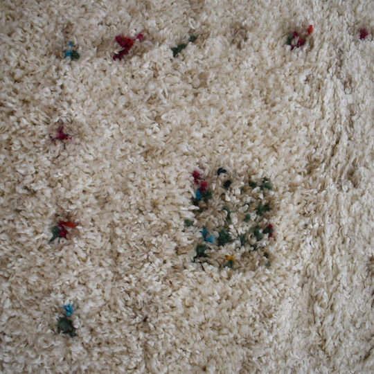 Shaggy Bonifay Covor Rectangular Crem/multicolor 200x290cm