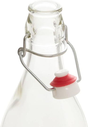 Glass Water Bottle With Screw Lid Transparent 1000ml