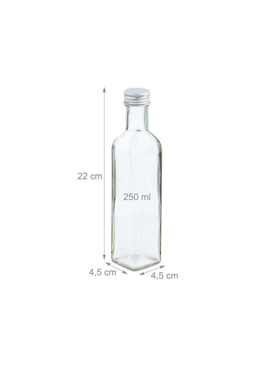 Glasflasche Wasser mit Schraubdeckel Transparent 250ml