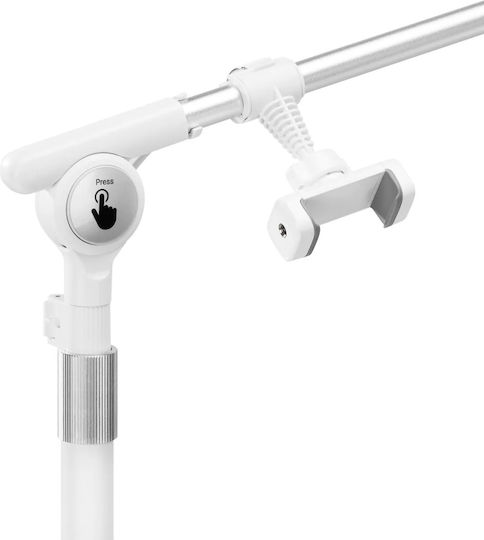 Professional Led Light Half Moon Color Intensity Adjustment Glow White 0152217
