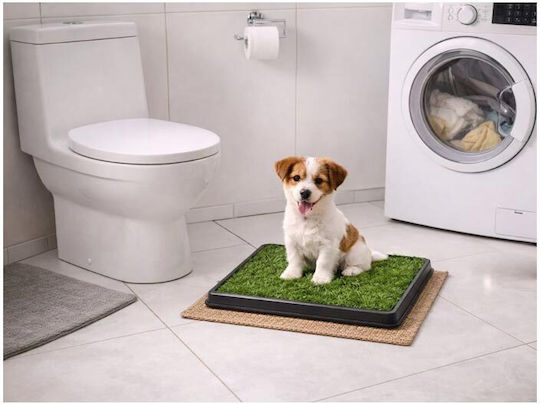 Hundewindeln Balkon Toilette Künstliches Gras 3 Ebenen Schale Sammlung 50x40cm
