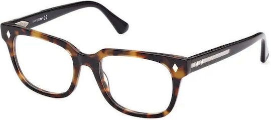 Мъжки Рамки за Очилa Web Eyewear