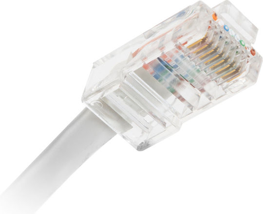 Set 100 Rj-45 8p8c Durchgang Cat5e Stecker Utp Kabel Netzwerk Stecker Goldbeschichtete Kontakte