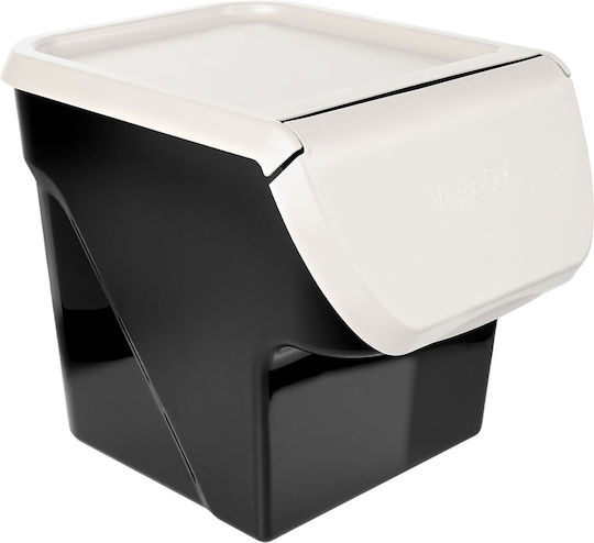 Vilde Set 2 Bucăți Casete Utilizare Generală Cu Capac Plastic Gri 2x26x34cm 2 Bucăți